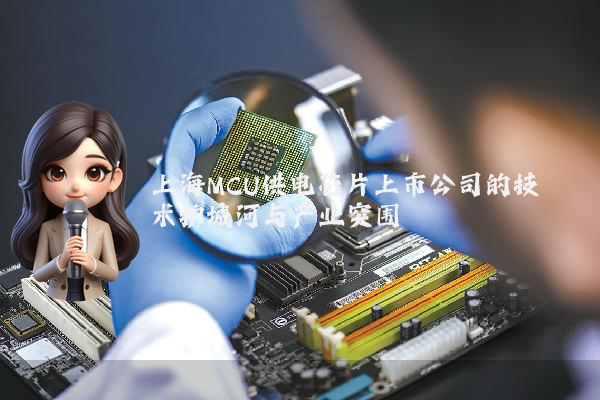 上海MCU供电芯片上市公司的技术护城河与产业突围